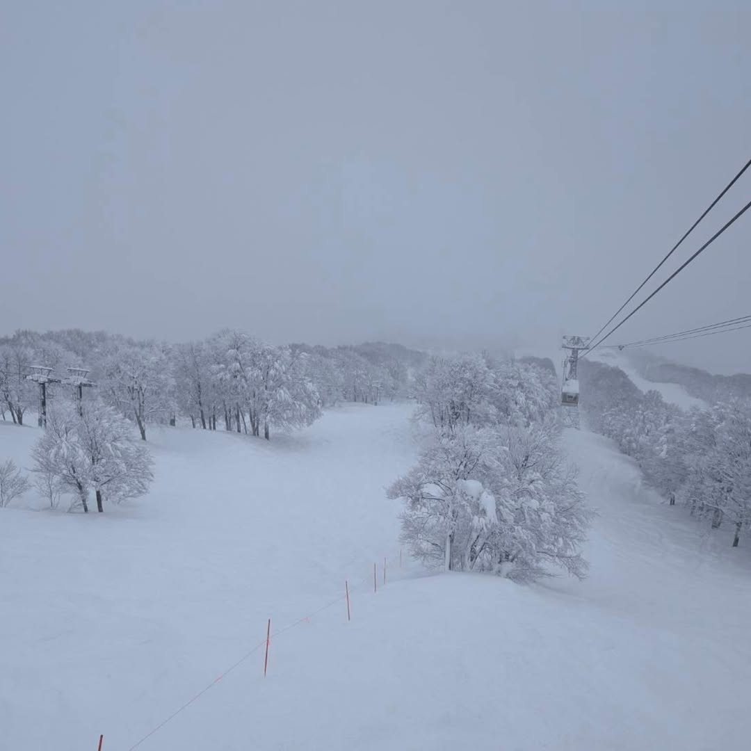Canadian Snowboarder Dies After Falling into Waterfall in Muikamachi Hakkaisan Ski Resort, Japan - SnowBrains