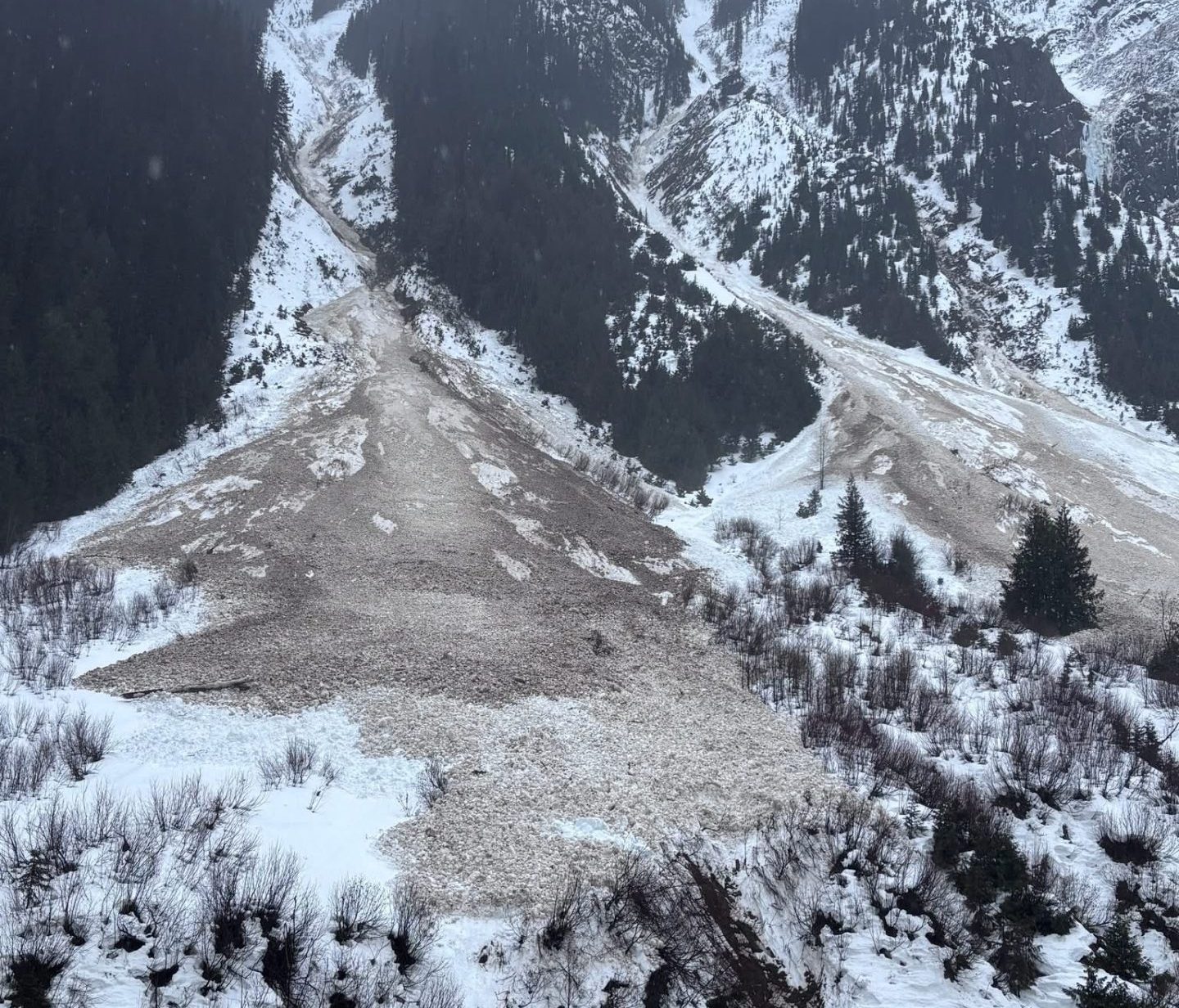 Rain-Driven Avalanche Cycle Forces Trans-Canada Highway Closure in British Columbia - SnowBrains