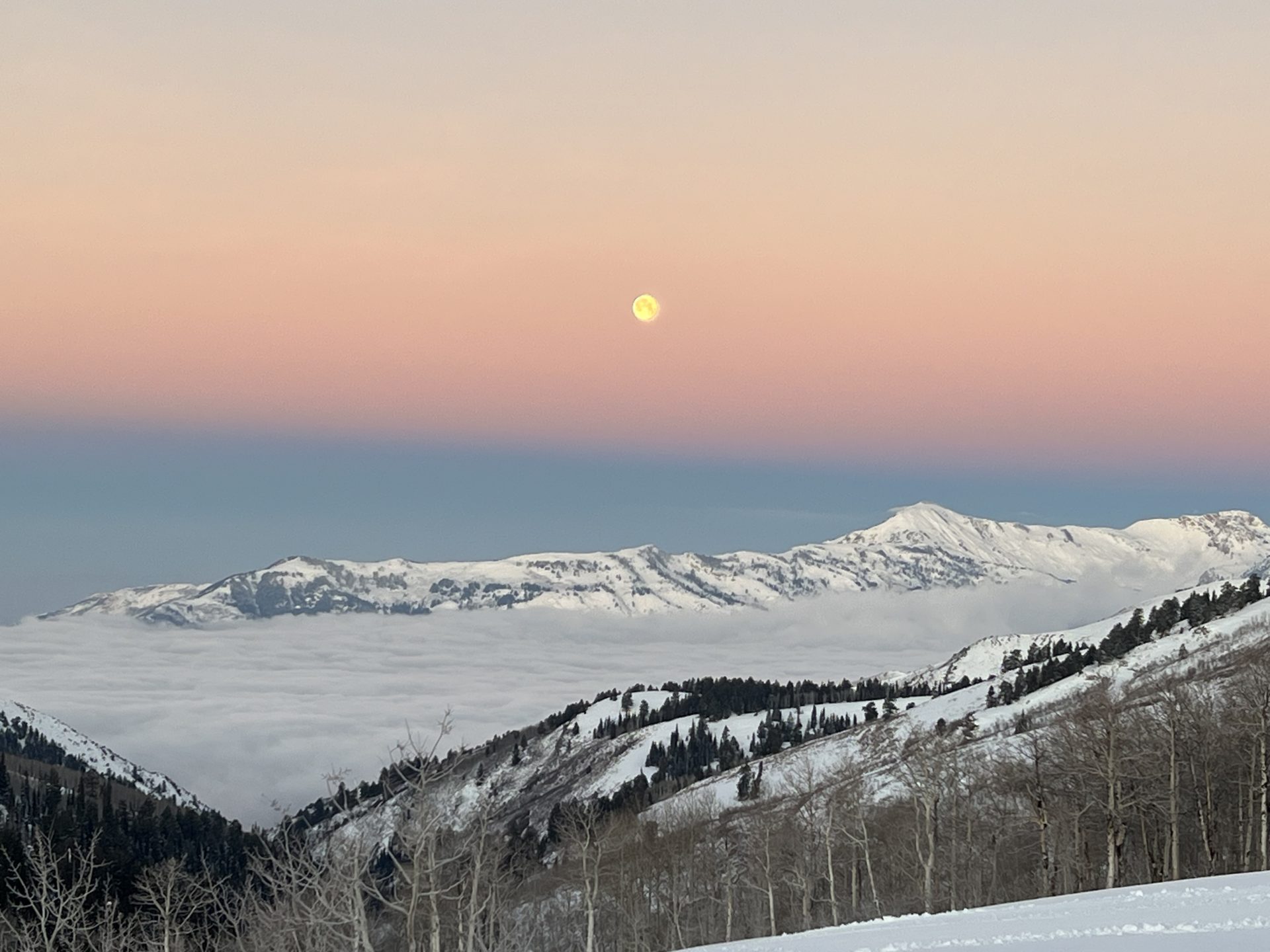 "Untracked After 24 Hours": Reed Hastings' Vision for Private Skiing at Powder Mountain, UT - SnowBrains