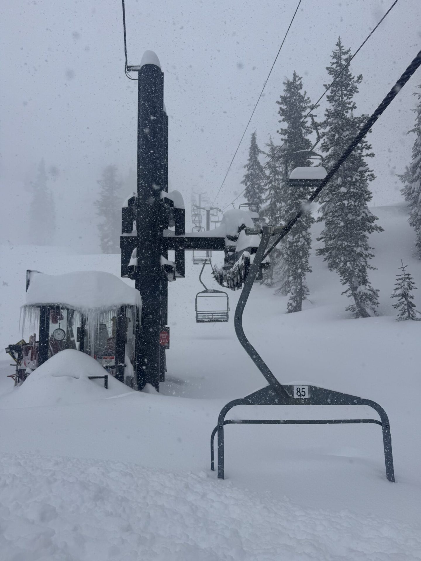 Historic Storm Dumps 9.5 Feet of Snow on Palisades Tahoe, CA, in 5 Days-The Most Since 1970 - SnowBrains