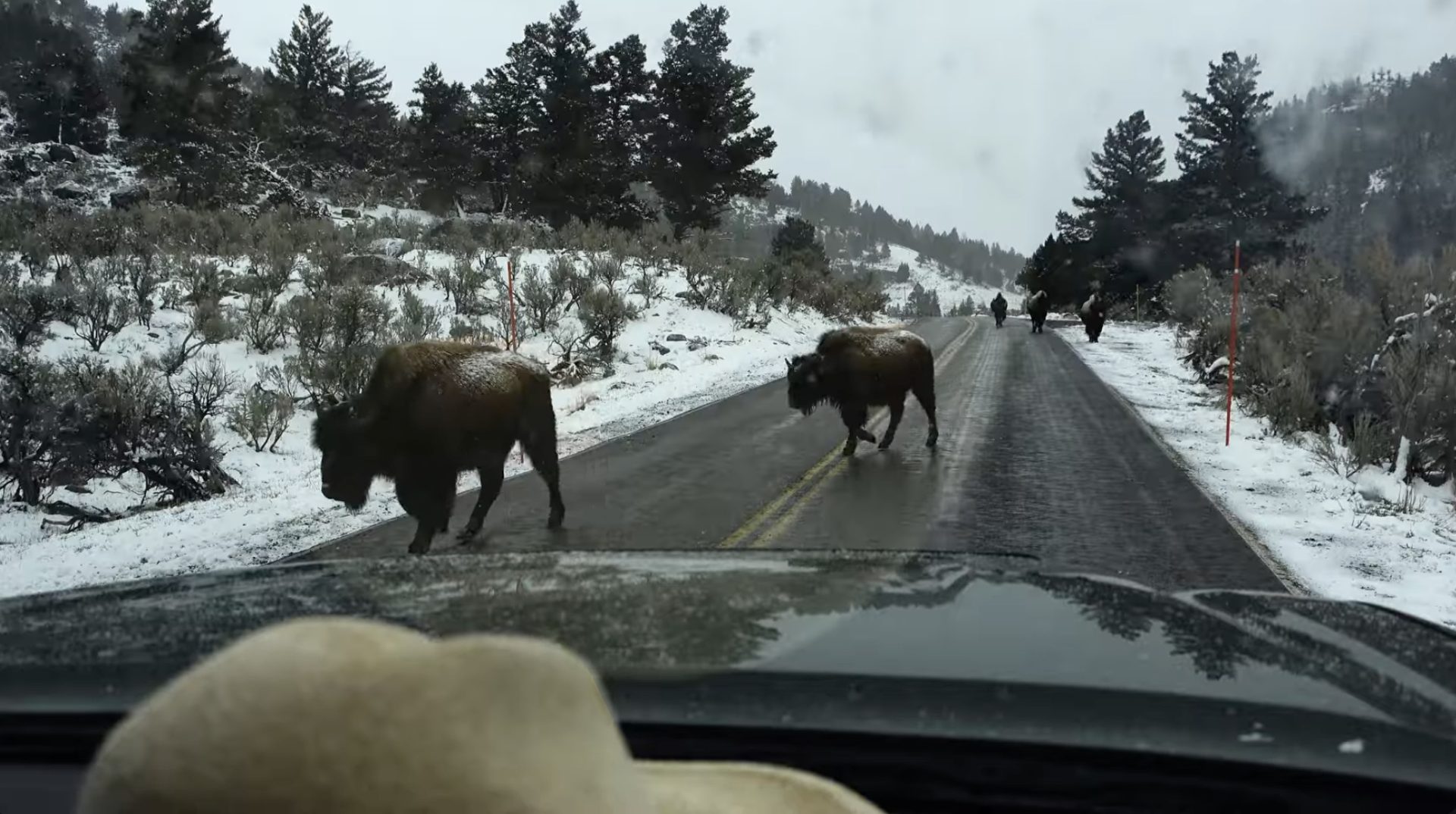 [VIDEO] "Montucky Madness" - An April Splitboarding Adventure in Montana's Beartooth Mountains - SnowBrains