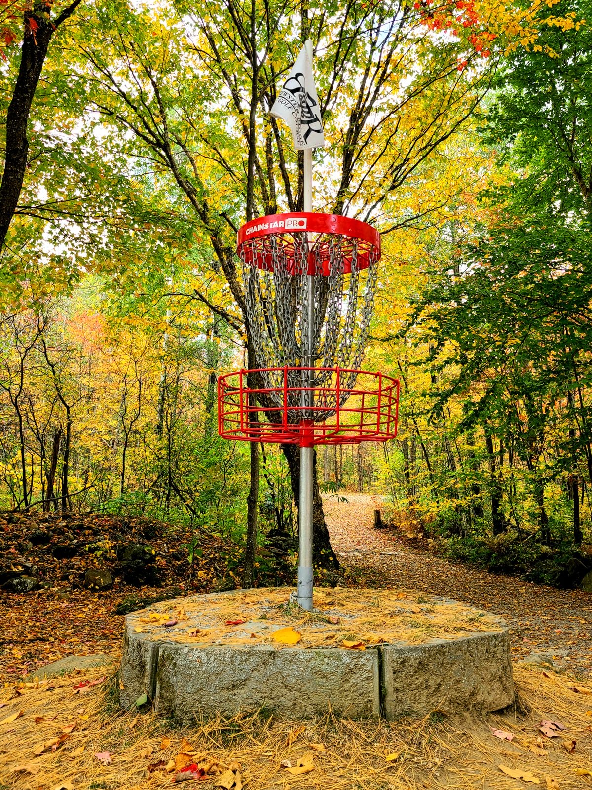 The 9 Best Disc Golf Courses at Ski Resorts Across the World